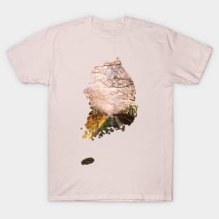 Cherry Blossom Season South Korea Map T-Shirt